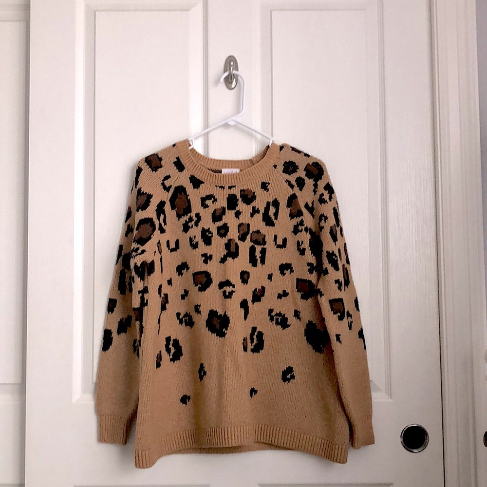 Cheetah Print Sweater